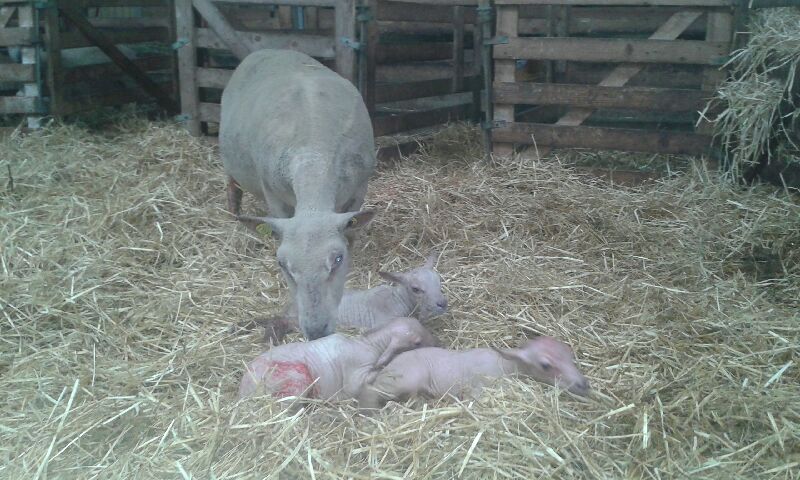 A generic square placeholder image with rounded corners in a figure.